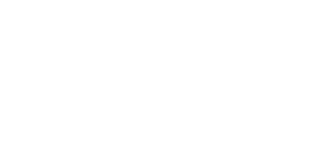 SHINX